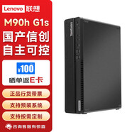 聯(lián)想（Lenovo）開天M90h G1s國(guó)產(chǎn)信創(chuàng)自主可控商用辦公設(shè)計(jì)臺(tái)式電腦小主機(jī)試用系統(tǒng) 2G 海光3350 16G 512G+1T
