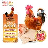 溫氏供港農(nóng)養(yǎng)大公雞2.8斤 高品質(zhì) 冷凍土雞散養(yǎng)走地雞炒雞 整雞