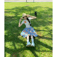 油畫(huà) 畫(huà)碎花半身裙女夏季新款絕美多巴胺半裙a字中裙藍色百褶裙 藍色碎花油畫(huà) 畫(huà)半身裙 S