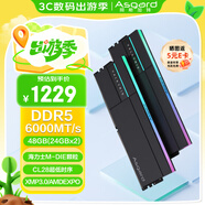 阿斯加特（Asgard）48GB(24GBx2) DDR5 6000 臺式機(jī)內(nèi)存條 女武神·瓦爾基里II代 RGB燈條 海力士M-die CL28 極夜黑