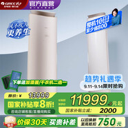 格力空調(diào)  王者/明珠 變頻冷暖 風(fēng)不吹人 自清潔 智能 客廳空調(diào)立式高溫空調(diào)柜機(jī) 家電國(guó)家補(bǔ)貼以舊新 3匹 一級(jí)能效 明珠 (珊瑚玉)