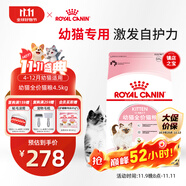 皇家幼貓貓糧 幼貓奶糕 K36 通用糧 4-12月 4.5KG