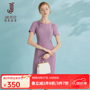 經(jīng)典故事（JANE STORY）簡(jiǎn)約氣質(zhì)收腰繡花雪紡連衣裙女夏季2025新款高端中國風(fēng)修身裙子 粉紫色（偏小建議拍大一碼） 2XL