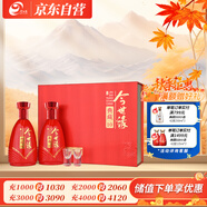 今世緣 典藏10 濃香型白酒 42度 500ml*2瓶 禮盒裝