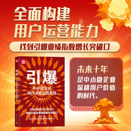 引爆：中小微企業(yè)用戶(hù)深度運營(yíng)實(shí)踐（新時(shí)代·營(yíng)銷(xiāo)新理念）