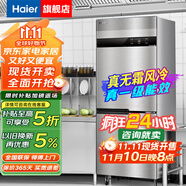 海爾（Haier）商用冰箱四門冰柜大容量不銹鋼立式冷藏保鮮柜冷凍速凍柜廚房酒店后廚高身雪柜 【豪華海風(fēng)款】風(fēng)冷無霜一級能效 雙門全冷凍451升
