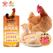 溫氏 跑步小土雞1.3斤  童子雞土雞 冷凍走地雞火鍋食材 生鮮雞肉