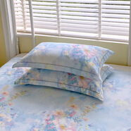 純棉枕頭套一對(duì)裝家用100全棉枕套宿舍單個(gè)枕芯內(nèi)膽套男48cmx74cm 玉蝶逐香 48cmx74cm枕套一對(duì)