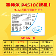 INtel/英特爾 P4510 1t 2t 4t 8t企業(yè)級固態(tài)硬盤(pán) 服務(wù)器臺式機 U2 拆機_P4510_1T_U.2_健康度90+ 2TB