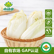 小湯山 娃娃菜 400g 基地直供新鮮蔬菜GAP認證