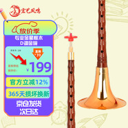 宏藝鳳鳴（HongYiFengMing）嗩吶樂(lè )器專(zhuān)業(yè)金星檀木D調初學(xué)者全套成人優(yōu)選民間喇叭碗