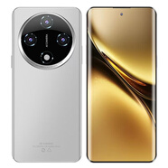 榮耀  新誠(chéng)榮耀  7.2   5G通X200Pro大音量曲面屏512G大內(nèi)存快充手機(jī) 原灰色_7.2英寸_X200Pro_16G運(yùn)行 256GB
