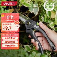 得力（deli）修枝剪刀尖刃樹(shù)枝剪 升級SK5鋼果樹(shù)剪花枝剪盆栽花卉園藝修枝神器