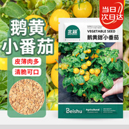 北蔬 黃番茄種子苗矮生盆栽櫻桃珍珠西紅柿菜籽 鵝黃甜小番茄種子70粒