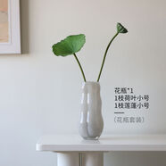 宰摟午睡花瓶復(fù)古擺件客廳玻璃透明水養(yǎng)插花瓶輕奢感桌面復(fù)古水培花器 花瓶大號(hào)+一枝小蓮蓬+一枝小荷葉