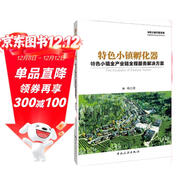 特色小鎮孵化器：特色小鎮全產(chǎn)業(yè)鏈全程服務(wù)解決方案