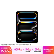 Apple/蘋(píng)果 iPad Pro11英寸 M5芯片 2025年新款平板電腦 1T納米玻璃 eSIM版 深空黑色
