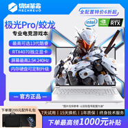 機械革命極光Pro游戲筆記本 蛟龍16Pro/極光X電競筆記本 便攜高性能學(xué)生本 獨顯4060 4、極光Pro:i7-12650H/4060-顯存8G 【16G內存+512固態(tài)】 國行正品+299元配件禮包