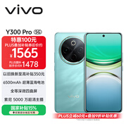 vivo Y300 Pro 12GB+512GB 金鑲玉 國家補貼 6500mAh超薄藍海電池 全等深微四曲屏 AI 拍照 手機