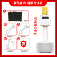 ESSONIO意大利品牌歌手級麥克風(fēng)音響一體直播家庭戶(hù)外K歌對唱無(wú)線(xiàn)藍牙無(wú)線(xiàn)充電LED顯示皮革手柄舒適觸感 白金色-標準版