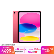Apple/蘋(píng)果iPad 11英寸 A16芯片2025年款 平板電腦 (256GB eSIM版/學(xué)習辦公娛樂(lè ))粉色