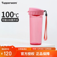 特百惠（Tupperware）茶韻500ML塑料杯男女士學(xué)生夏季運動(dòng)水杯子戶(hù)外便攜大容量 柔蜜粉