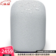 SONY LinkBuds Speaker 便攜式無(wú)線(xiàn)揚聲器 帶充電座多兼容IPX4防水長(cháng)續航快充2024年新款 灰色