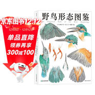 野鳥(niǎo)形態(tài)圖鑒