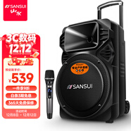 山水（SANSUI）A12-66 12吋廣場(chǎng)舞音響 戶(hù)外音響卡拉ok重低音藍牙音響 便攜式K歌移動(dòng)舞臺拉桿音箱大功率擴音器 豪華版（12寸重低音+單麥）