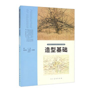中國高校藝術(shù)專業(yè)技能與實踐系列教材 造型基礎(chǔ)