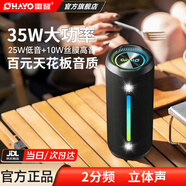 雷登（OHAYO）X10MAX無(wú)線(xiàn)便攜式藍牙音箱2025新款重低音炮大音量高音質(zhì)戶(hù)外迷你小型自行車(chē)騎行小音響防水音箱 2分頻【傳奇音質(zhì)】35W賽道揚聲器-黑 防塵防水+超長(cháng)續航+16G卡