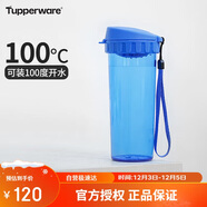 特百惠（Tupperware）茶韻500ML塑料杯男女士學(xué)生夏季運動(dòng)水杯子戶(hù)外便攜大容量 純凈藍