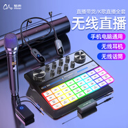 魅聲手機聲卡直播設備全套戶(hù)外專(zhuān)業(yè)唱歌套裝抖音網(wǎng)紅主播專(zhuān)用電腦 G9-W104-WQ2（無(wú)線(xiàn)單人款）