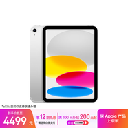 Apple/蘋(píng)果iPad 11英寸 A16芯片2025年款 平板電腦 (256GB eSIM版/學(xué)習辦公娛樂(lè ))銀色