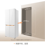 東芝（TOSHIBA）Toshiba/東芝 GR-RF536/537/548/483/487/559家用無(wú)霜變頻冰箱 小白梨     GR-RF451WI-PG1B6