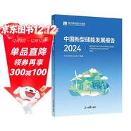中國新型儲能發(fā)展報告 2024