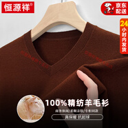 恒源祥高檔薄款精紡羊毛衫男士100%純羊毛秋冬V領(lǐng)純色毛衣針織打底絨衫 焦糖 3XL 185