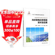 光伏發(fā)電功率預測技術(shù)及應用/新能源并網(wǎng)與調度運行技術(shù)叢書(shū)
