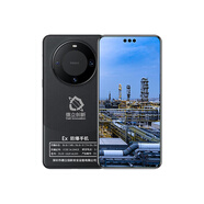 華為（HUAWEI）防爆智能手機DL08本安級移動(dòng)終端支持藍牙GPS防塵防水防爆 黑色 （BRA-AL00）12+256G