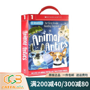英文原版 學(xué)樂(lè )Scholastic 學(xué)前幼兒園閱讀啟蒙Guided Reader 綠山墻 Animal Antics學(xué)前閱讀啟蒙盒裝 綠山墻圖書(shū)