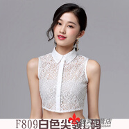 途尊（kingtrip）假領(lǐng)子女款蕾絲假圓領(lǐng)毛衣裝飾領(lǐng)假襯衫打底領(lǐng)秋子秋冬新款透氣 F809白色L碼