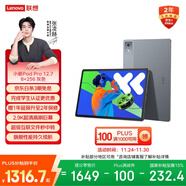 聯(lián)想小新PadPro12.7 2025款平板電腦  2.9K高刷全面屏 娛樂(lè )學(xué)習 10200mAh 8+256G大象灰