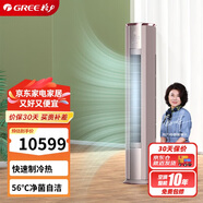 格力（GREE） 3匹 京御 一級變頻冷暖 離子凈化 凈菌自潔 立柜式空調柜機 KFR-72LW/(72587)FNhAb-B1(JDWIFI)