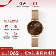 丹尼爾惠靈頓（DanielWellington）DW手女表 全新配色鋼帶女士手表 時(shí)尚歐美表生日禮物DW00100476