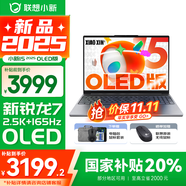 聯(lián)想小新15 2025系列 活動(dòng)補(bǔ)貼 金屬超輕薄筆記本電腦 學(xué)生辦公設(shè)計(jì)游戲本 八核十六線程銳龍R7-8745HS 16G 512G 標(biāo)配【OLED版 2.5K屏】 高清護(hù)眼屏 DC調(diào)光 無(wú)屏閃