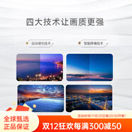 飛利浦（PHILIPS）32/43/50/55/58英寸網(wǎng)絡(luò )智能高清全面屏LED液晶平板電視機 43英寸