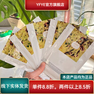 美妍世家【官方】化妝品清爽潤肌控油面膜貼茶樹(shù)祛痘收縮·正品專(zhuān)柜新 1盒.