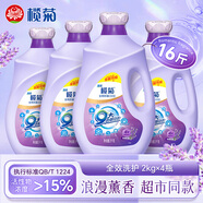 欖菊康滌全效洗護洗衣液8kg瓶裝（2kg*4瓶）薰衣草香除菌除螨