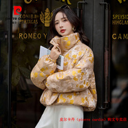 皮爾卡丹（pierre cardin）時(shí)尚立領(lǐng)提花羽絨服女2025冬季小個(gè)子洋氣休閑保暖白鴨絨外套 圖片色 品質(zhì)升級版 M