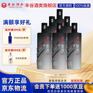豐谷墨淵酒 濃香型 四川白酒 純糧口糧酒 45度 480mL 6瓶 淡墨 整箱裝